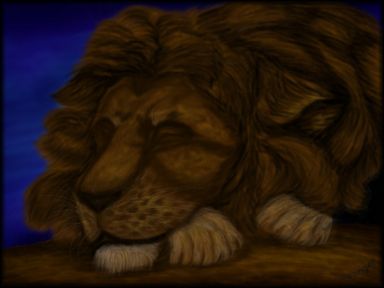 Lion in the Night