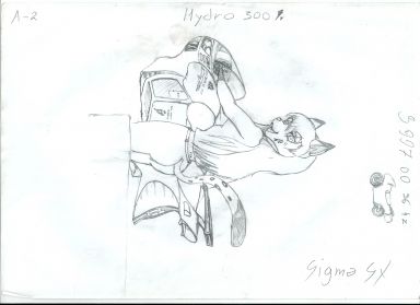 Hydro 300