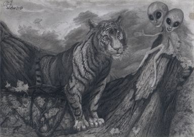Кыштымский тигренок