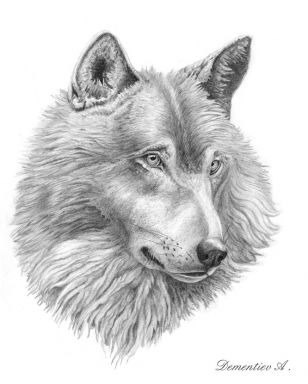 Горестный волк
