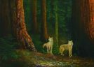 Путешествие волков сквозь реликтовый лес