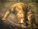 Леопард Увидел Добычу (Psychodelic anthro and animalistica)