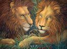 Два льва (Анималистика)