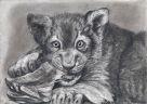 Голодный котенок ест грудинку (Psychodelic anthro and animalistica)