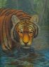 Взгляд юного тигра (Psychodelic anthro and animalistica)