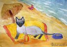 кошка на пляже (Кошки)