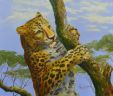 Молодой леопард на дереве (Анималистика)