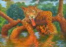 Довольный леопард показывает язык (Psychodelic anthro and animalistica)