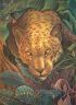 Взгляд сонного леопарда (Psychodelic anthro and animalistica)