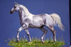 Серебристый конь (Анималистика)
