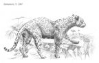 Ягуарица (Psychodelic anthro and animalistica)