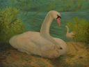Лебеди: семья у реки (Psychodelic anthro and animalistica)